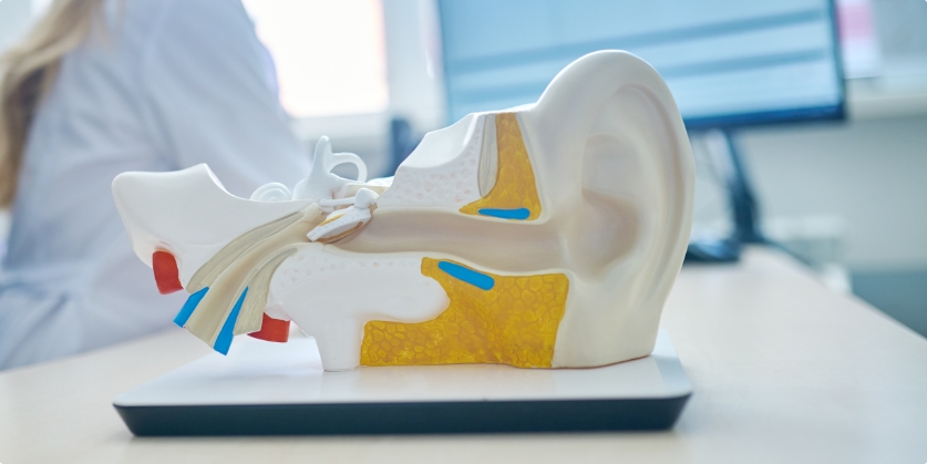 Rich Hearing & Tinnitus Center Blog